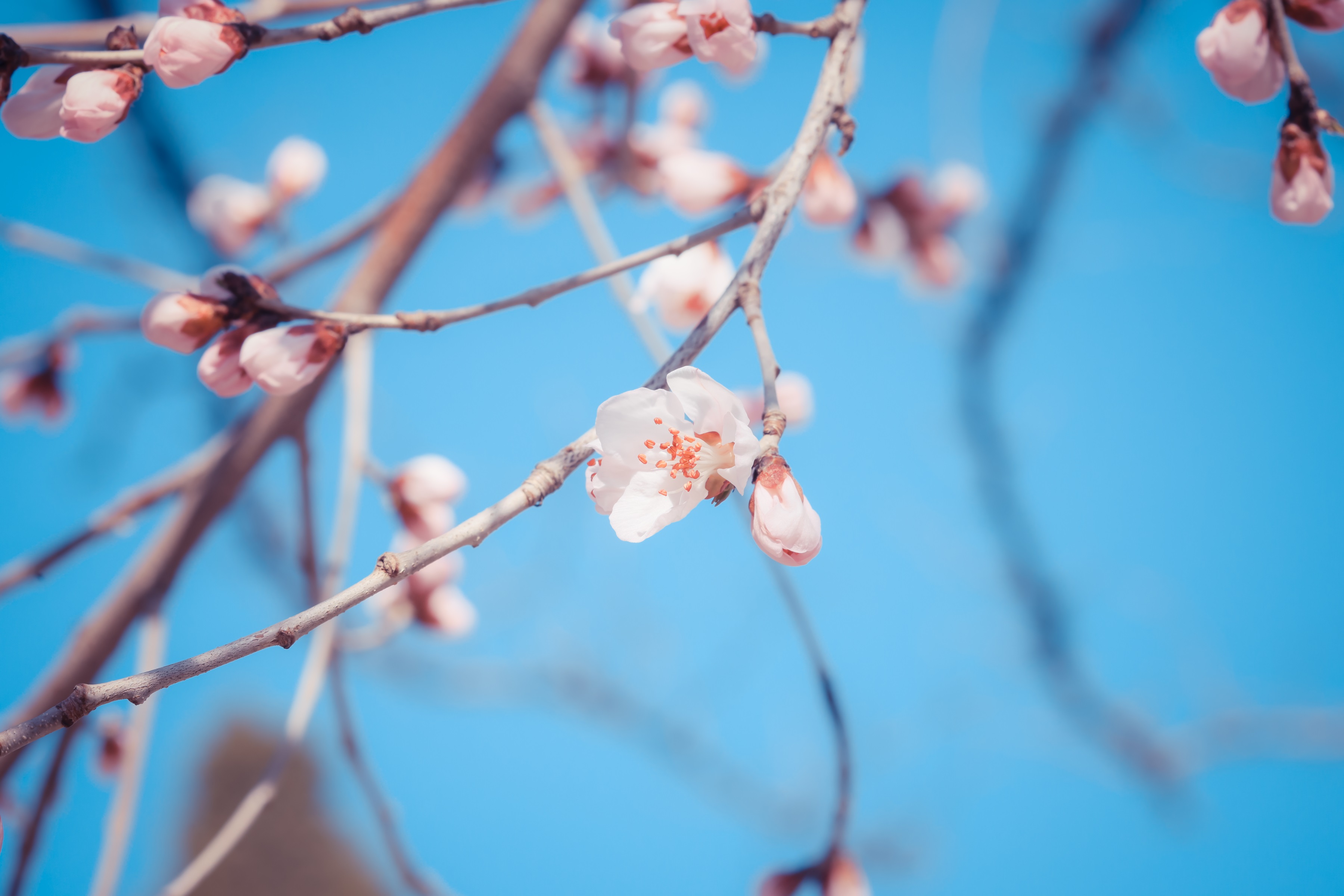 ������-LG��Ϸ|PT��Ϸ|CQ9��Ϸ